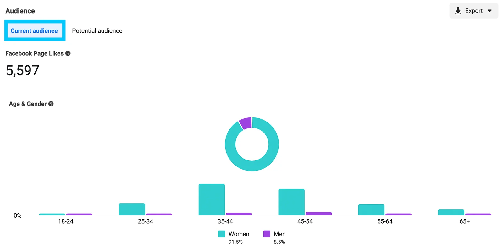 Facebook Audience Insights